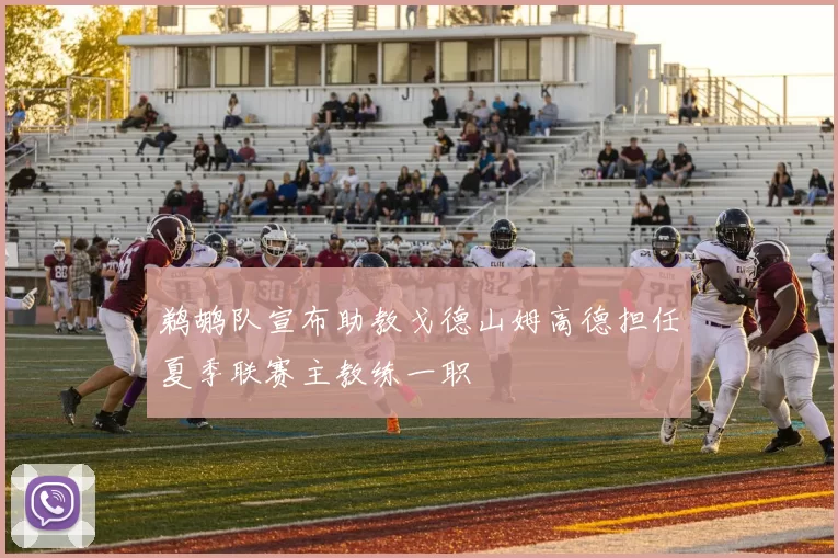 鹈鹕队宣布助教戈德山姆高德担任夏季联赛主教练一职
